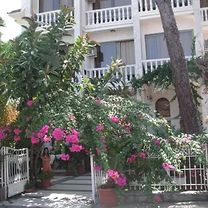Carikci Türkiye